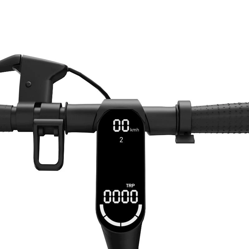 FreeGo E10 Pro Scooter